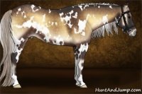 Horse Color:White Spotted Silver Brown Onyx 