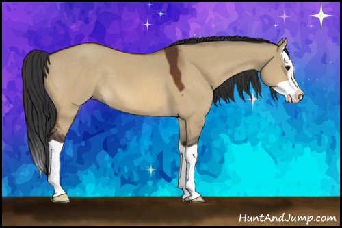 Horse Color:Bay Dun Splash 