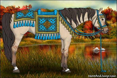 Horse Color:Bay Dun Sabino 