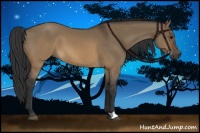 Horse Color:Brown Dun