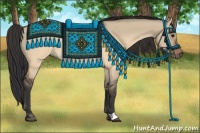 Horse Color:Brown Dun 