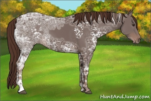 Horse Color:White Spotted Liver Chestnut Ice 
