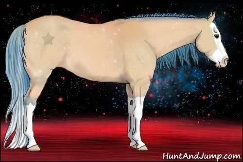 Horse Color:Watercolor Buckskin Splash 