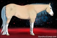 Horse Color:Watercolor Buckskin Splash 