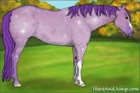 Horse Color:Watercolor Smoky Grullo 