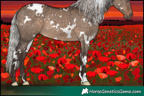 Horse Color:White Spotted Silver Brown Dun 