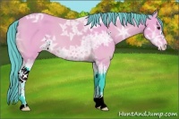 Horse Color:Watercolor Buckskin Ice Sabino Varnish 