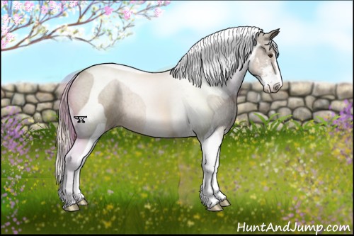 Horse Color:Chocolate Palomino Sabino Tobiano 