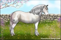 Horse Color:Chocolate Palomino Sabino Tobiano 