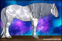 Horse Color:Watercolor White Spotted Sable Champagne Splash Rabicano 
