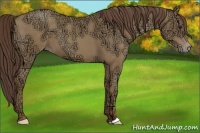 Horse Color:Classic Champagne Ice 