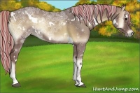 Horse Color:Painted White Spotted Silver Blue Onyx Ice