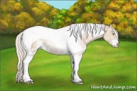 Horse Color:Silver Sable Champagne Sabino Tobiano