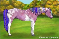 Horse Color:Painted Watercolor Bay Tobiano 