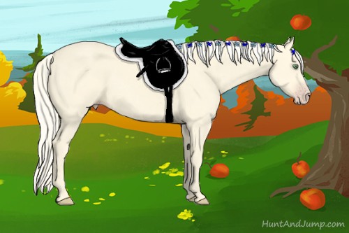 Horse Color:Gold Cream Champagne 