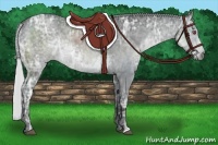 Horse Color:Silver Blue Chinchilla Ice Roan Rabicano 