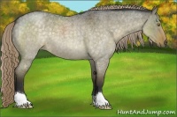 Horse Color:Chocolate Palomino Roan Dun 