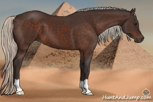 Horse Color:Silver Brown
