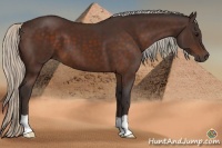 Horse Color:Silver Brown 