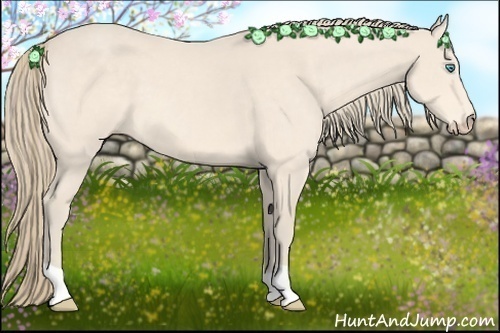 Horse Color:Perlino