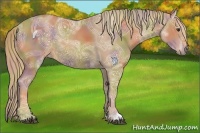 Horse Color:Nacre Chestnut Ice 