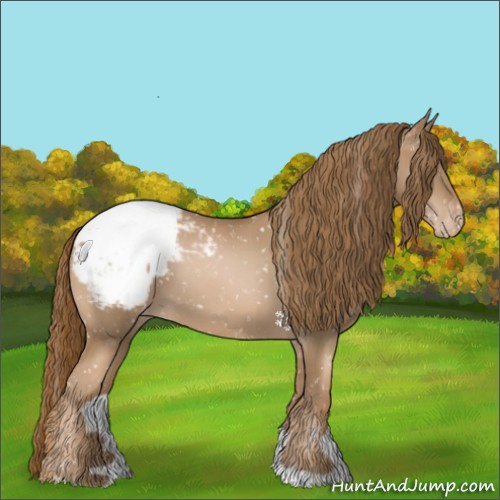 Horse Color:Liver Chestnut Pearl Appaloosa 