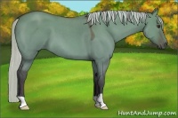 Horse Color:Silver Bay Roan Dun 