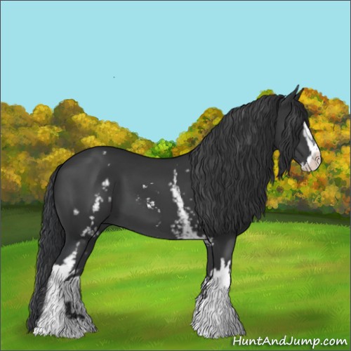 Horse Color:White Spotted Black Sabino