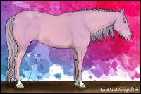Horse Color:Watercolor Perlino 