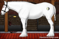 Horse Color:Red Chinchilla Roan 