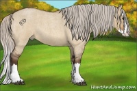 Horse Color:Silver Bay Roan Dun Splash 
