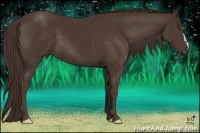 Horse Color:Liver Chestnut Frame 