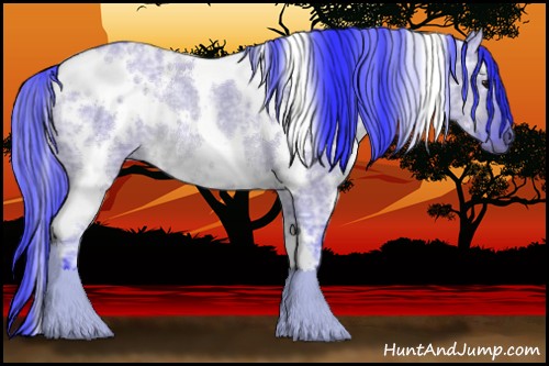 Horse Color:Watercolor White Spotted Brown Ice Dun Rabicano