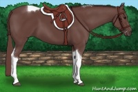 Horse Color:Chocolate Smoky Black Tobiano 