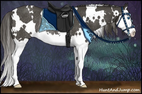 Horse Color:White Spotted Smoky Black Splash Rabicano