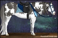 Horse Color:White Spotted Smoky Black Splash Rabicano