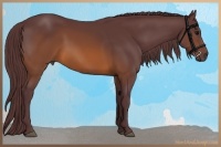 Horse Color:Chocolate Brown 