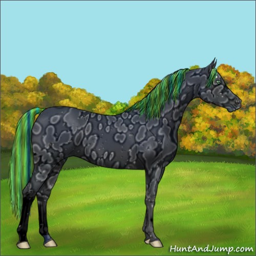 Horse Color:ERROR: UNKNOWN ANOMALY