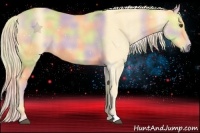 Horse Color:Nacre Palomino Dun