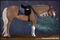 Horse Color:Silver Black 