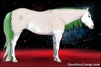 Horse Color:Watercolor Buckskin Dun Splash