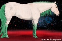 Horse Color:Watercolor Buckskin Roan Dun 