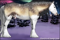 Horse Color:Brown Ice Onyx Sabino Splash Appaloosa 