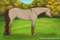 Horse Color:Gray Red Dun