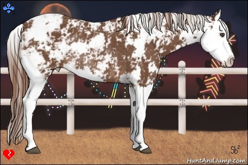 Horse Color:Chestnut Sabino Splash Rabicano 