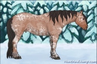 Horse Color:Bay Ice Roan 