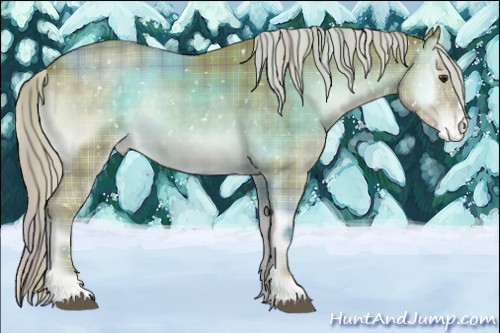 Horse Color:Watercolor Plaid Chocolate Palomino Onyx Snowflake Varnish