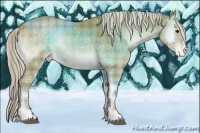 Horse Color:Watercolor Plaid  Chocolate Palomino Onyx Snowflake Varnish 