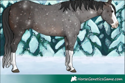 Horse Color:Brown Splash 