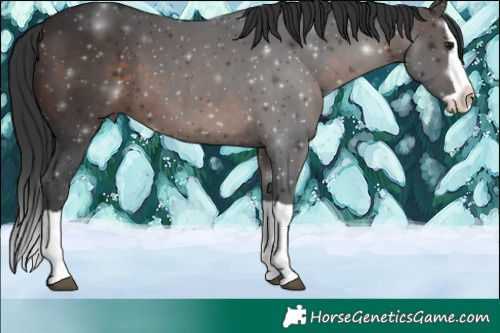 Horse Color:Brown Splash 